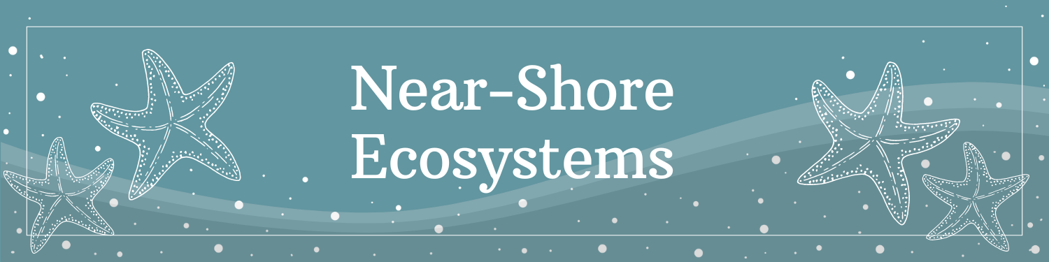 Unit 11: Near-Shore Ecosystems Banner